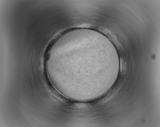 X0000097610300200803211729