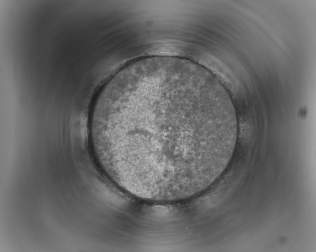 X0000097610302200803211729