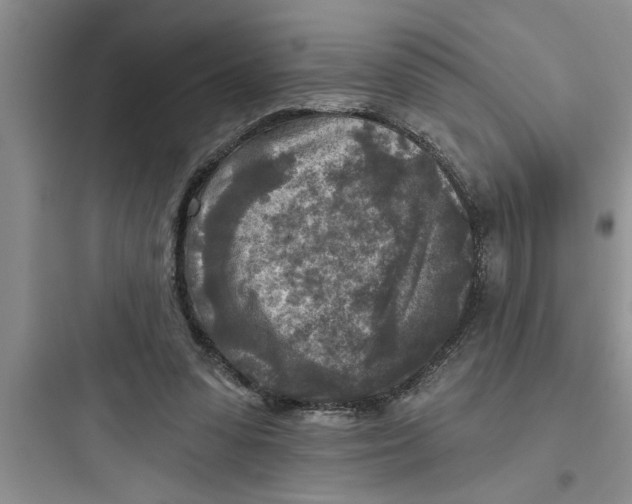 X0000097610303200803211729