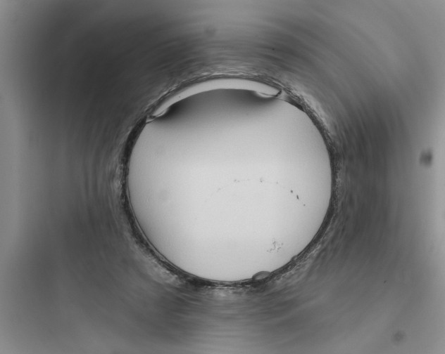 X0000097610305200803211729