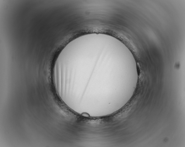 X0000097610306200803211729