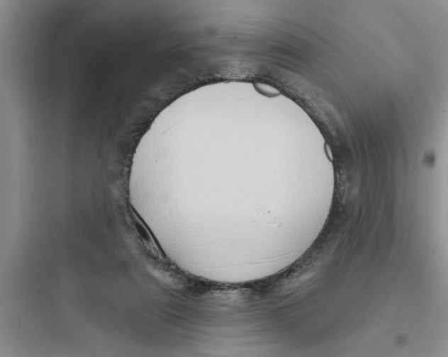 X0000097610307200803211729