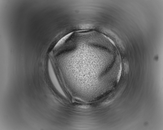 X0000097610308200803211729