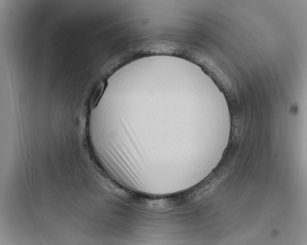 X0000097610309200803211729