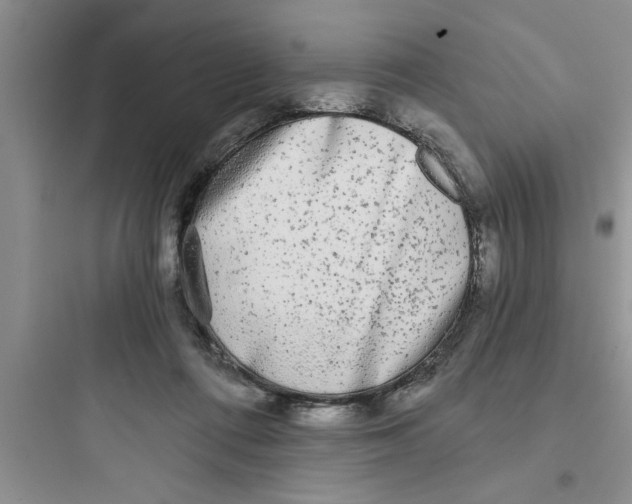 X0000097610312200803211728