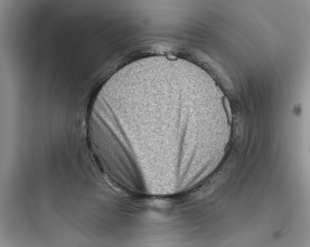 X0000097610313200803211728