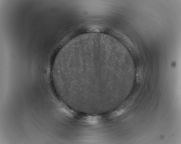 X0000097610314200803211728