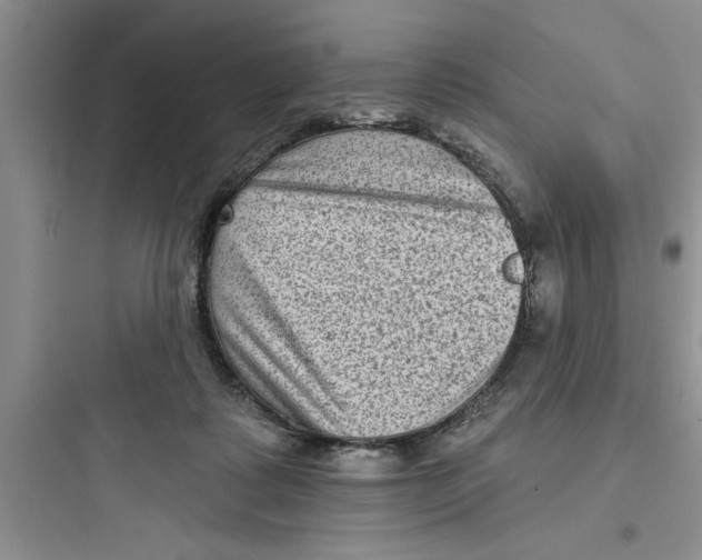 X0000097610315200803211728