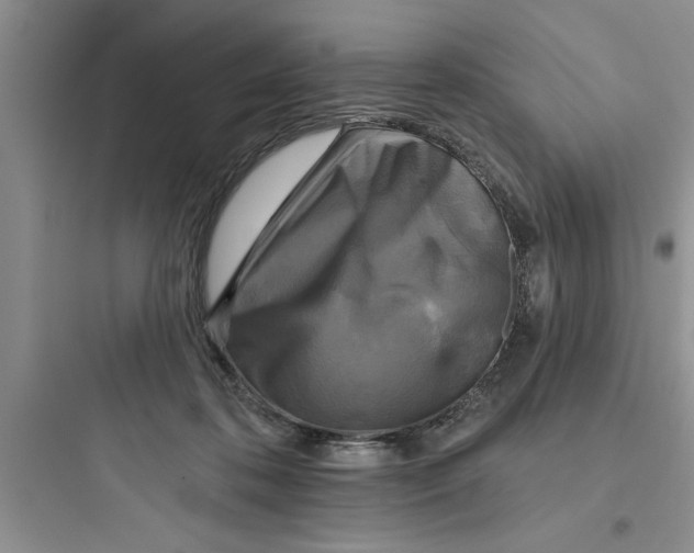 X0000097610316200803211728