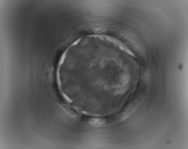 X0000097610319200803211728