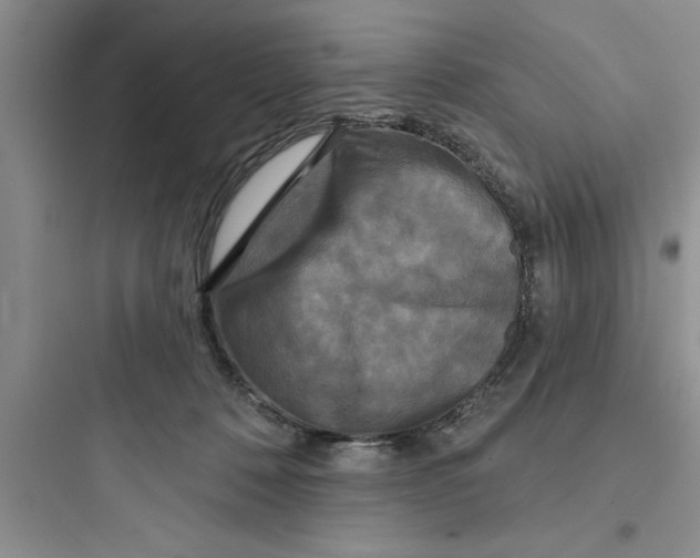 X0000097610320200803211728