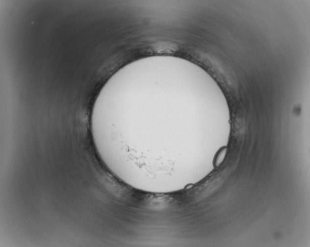 X0000097610321200803211728