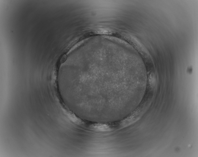 X0000097610322200803211728