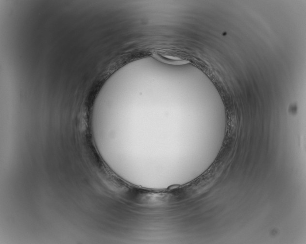 X0000097610323200803211728