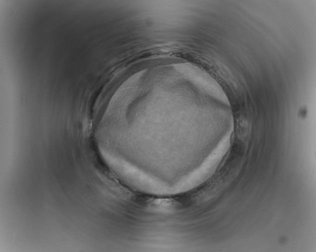 X0000097610324200803211728