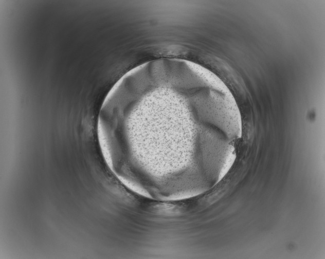 X0000097610326200803211728