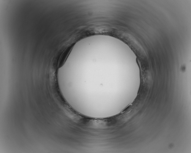 X0000097610327200803211728