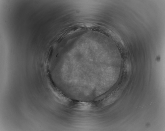 X0000097610328200803211728