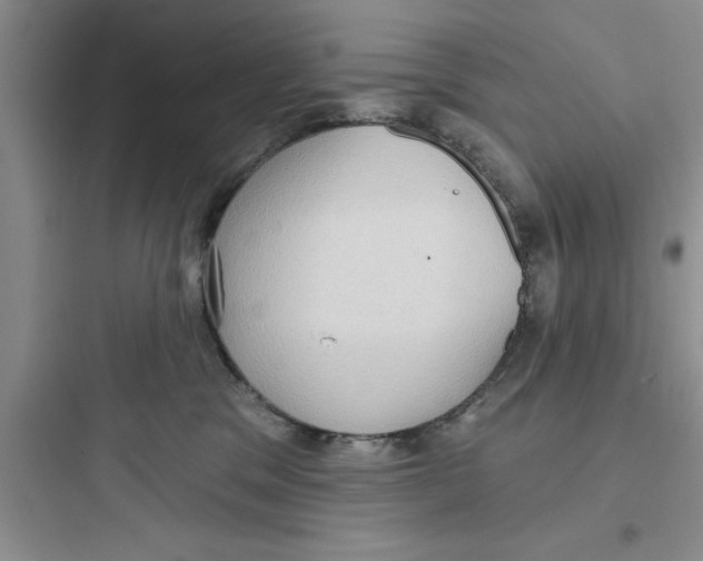 X0000097610329200803211728