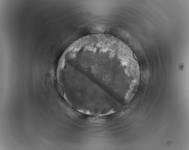 X0000097610331200803211728