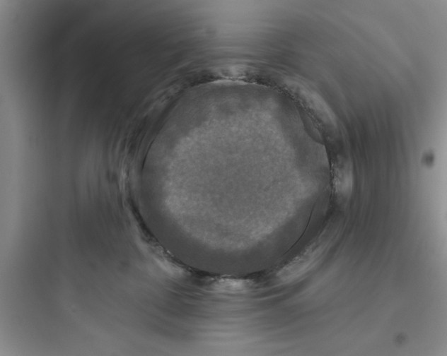 X0000097610332200803211728