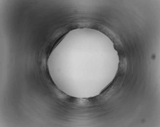 X0000097610333200803211728