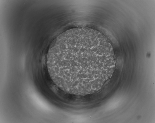 X0000097610335200803211728