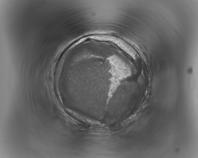 X0000097610337200803211727