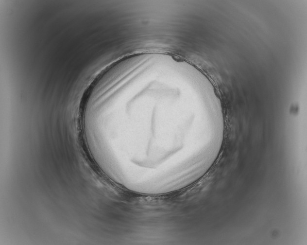 X0000097610338200803211728