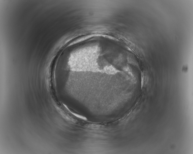 X0000097610339200803211728