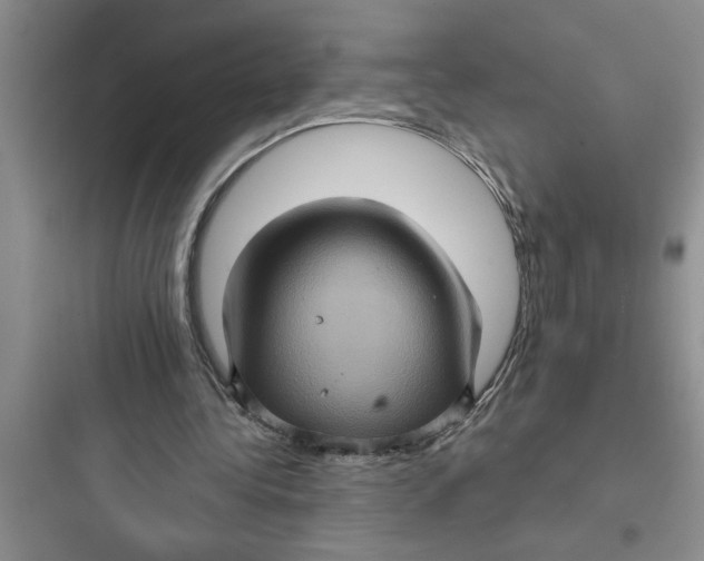 X0000097610340200803211728