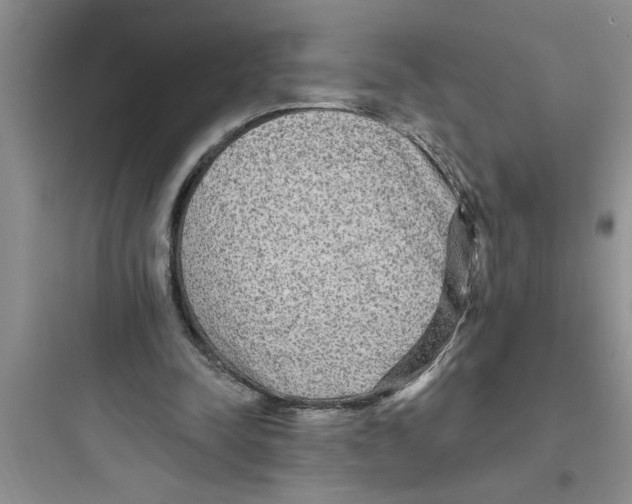 X0000097610342200803211728