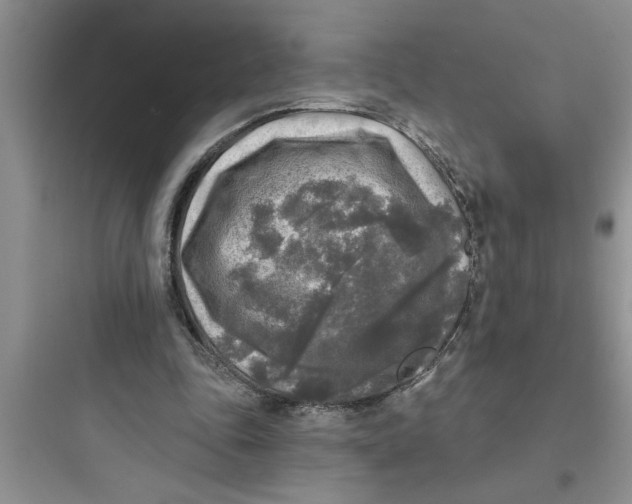 X0000097610343200803211728