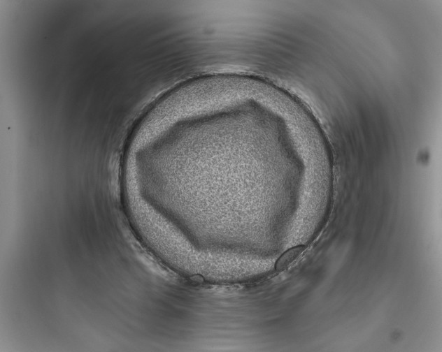 X0000097610345200803211728