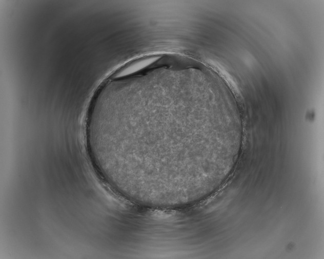 X0000097610346200803211728