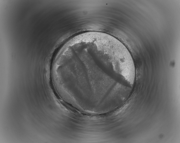 X0000097610349200803211728