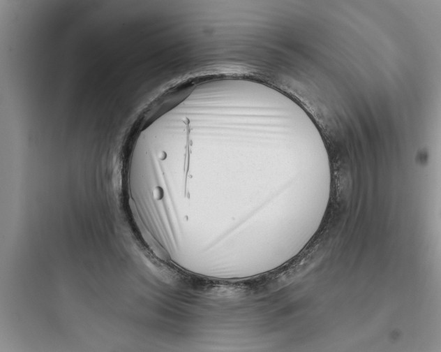 X0000097610350200803211728