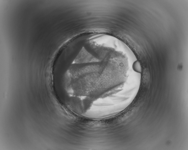 X0000097610351200803211728