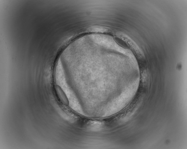 X0000097610352200803211728