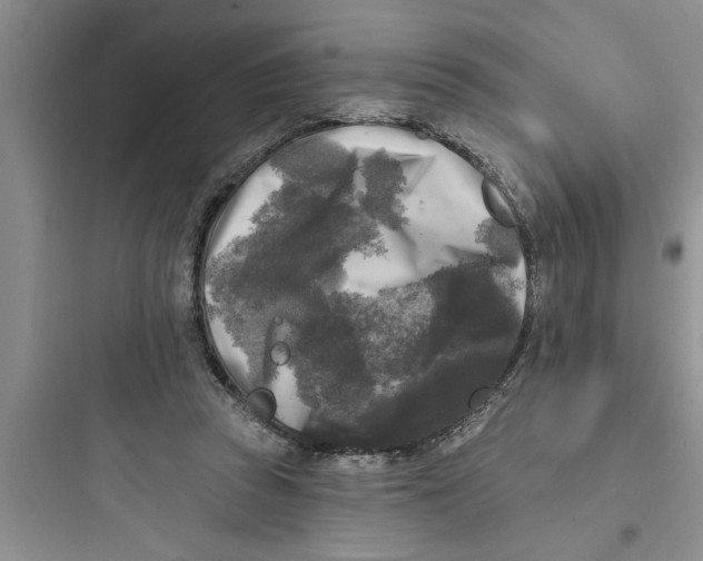 X0000097610353200803211728