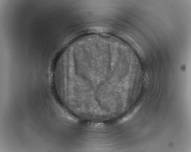 X0000097610355200803211728