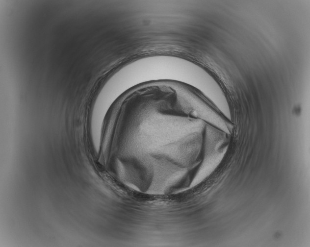 X0000097610356200803211728