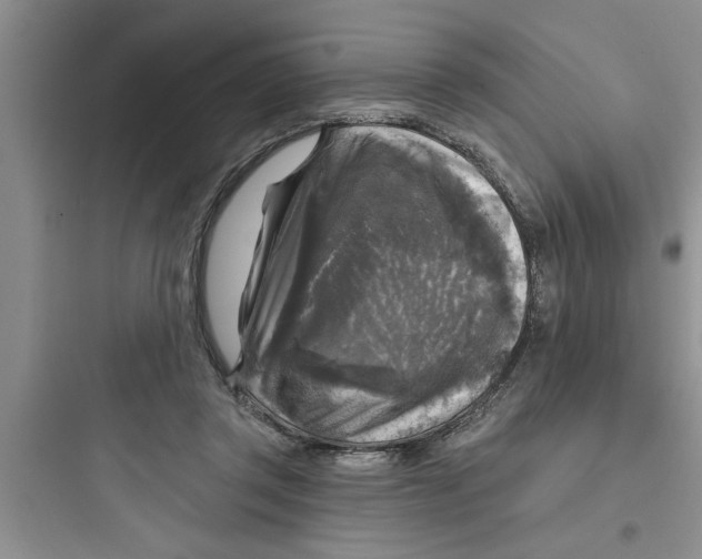 X0000097610357200803211728