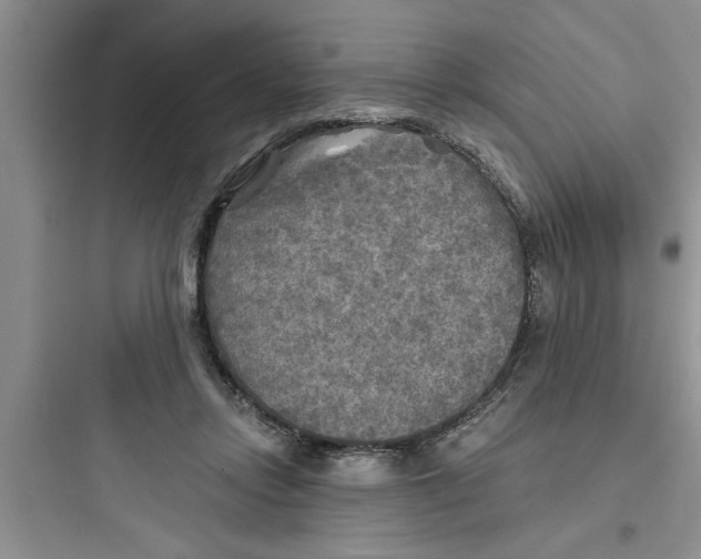 X0000097610358200803211728