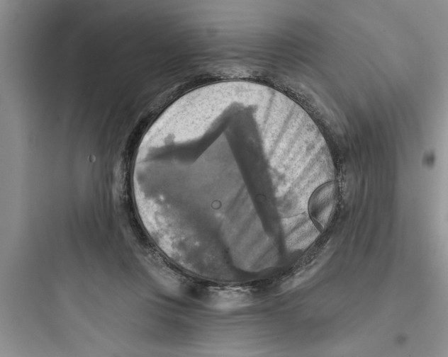 X0000097610359200803211728