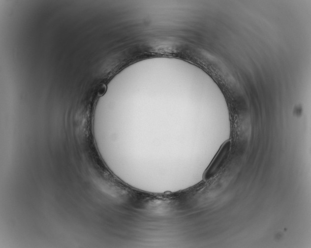 X0000097610364200803211728