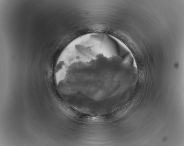 X0000097610365200803211728