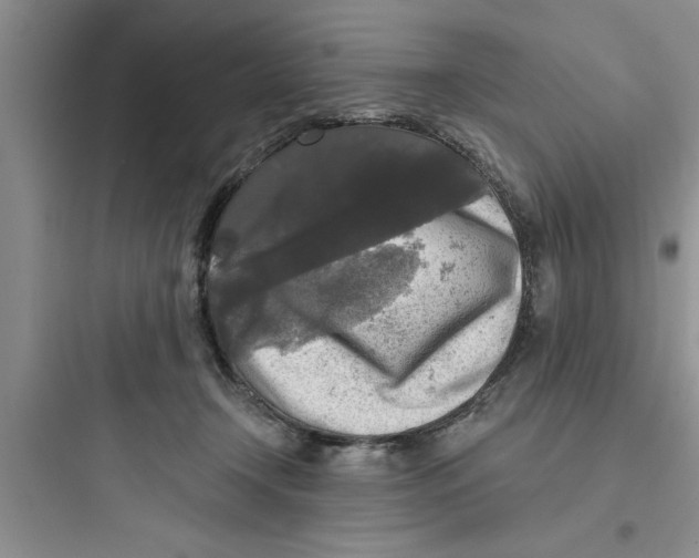 X0000097610366200803211728