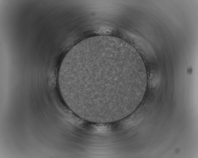 X0000097610370200803211728