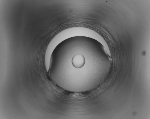 X0000097610372200803211728